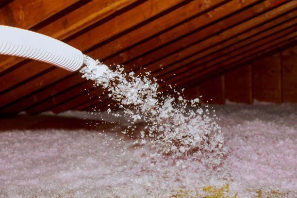 Best Insulation Installation Services in Summersville, WV