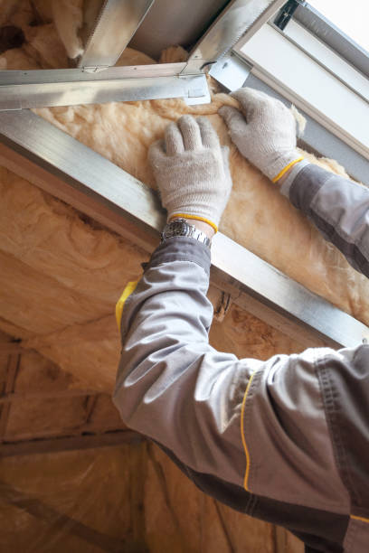 Best Insulation Maintenance and Repair in Summersville, WV