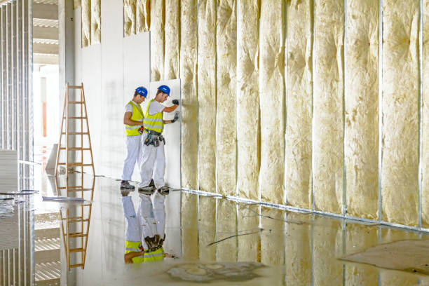 Best Residential Insulation in Summersville, WV